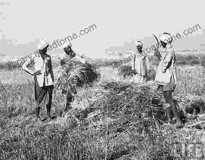 A Black And White Photograph Of A Group Of Farmers Gathered In A Field Iosco County: The Photography Of Ard G Emery 1892 1904 (Images Of America)