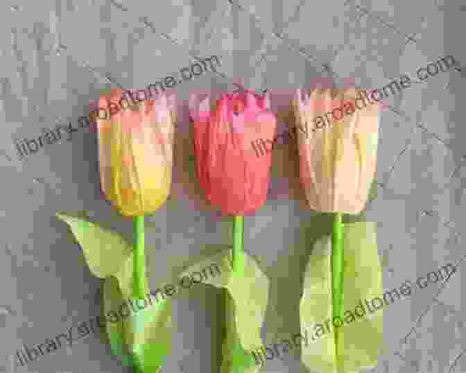 A Bouquet Of Colorful Coffee Filter Paper Tulips Coffee Filter Paper Tulips Project Booklet: A Step By Step Project Guide From Your House A Home (Paper Flowers And Plants)