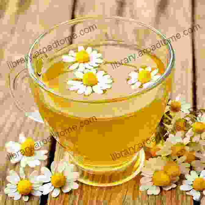 A Cup Of Chamomile Tea With A Fresh Chamomile Flower On A Saucer Natural Remedies For Common Digestive Problems