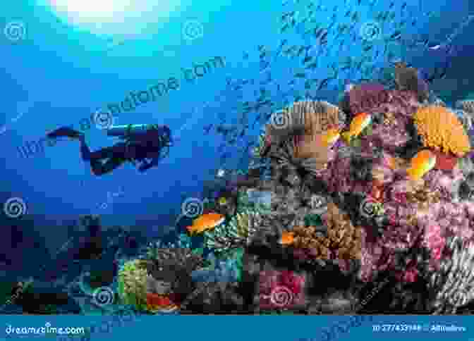 A Diver Exploring The Underwater World, Surrounded By Schools Of Fish And Vibrant Coral Secrets Of The Seas: A Journey Into The Heart Of The Oceans