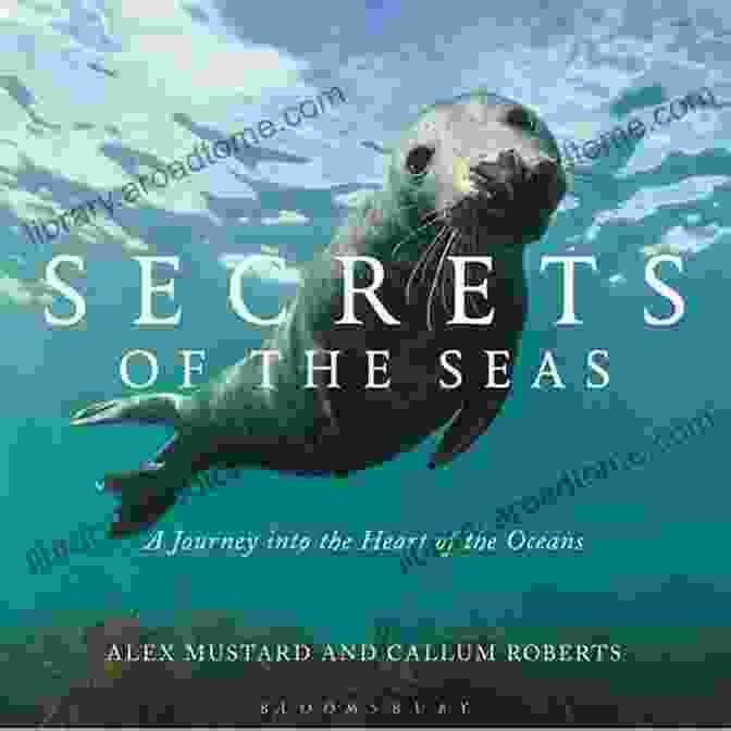 A Family Reading Secrets Of The Seas: A Journey Into The Heart Of The Oceans