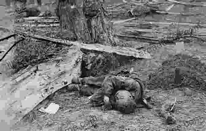 A Gardner Photograph Depicting The Aftermath Of A Civil War Battle, Strewn With Dead Bodies And Wreckage Elevate The Masses: Alexander Gardner Photography And Democracy In Nineteenth Century America