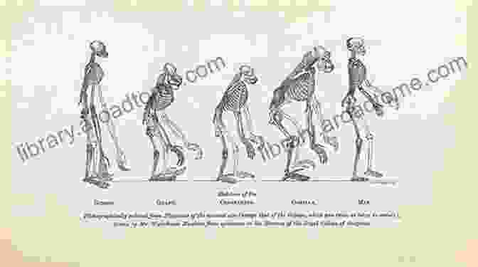 A Group Of Scientists Discussing Human Evolution Methods For Human History: Studying Social Cultural And Biological Evolution