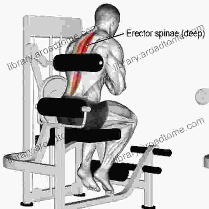 A Man Performing The Seated Back Extension Machine Aerobics Vol #10 The Seated Back Extension