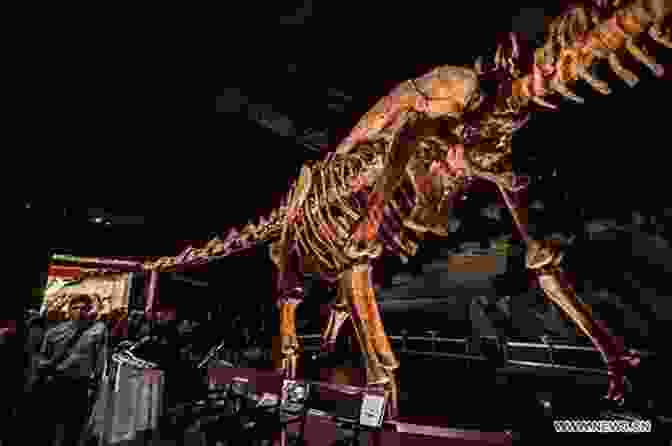 A Photo Of A Titanosaur Skeleton Titanosaur: Discovering The World S Largest Dinosaur