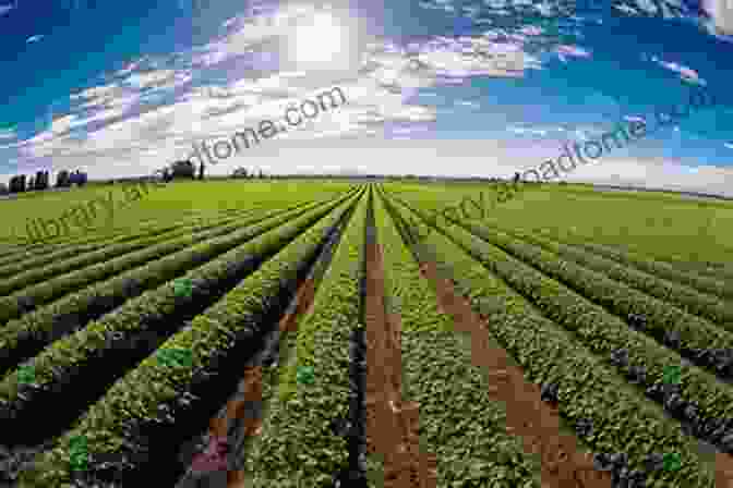 A Vast Agricultural Field, Showcasing Rows Of Crops Stretching Towards The Horizon, With Tractors Working In The Distance. The Anthropocene: The Human Era And How It Shapes Our Planet