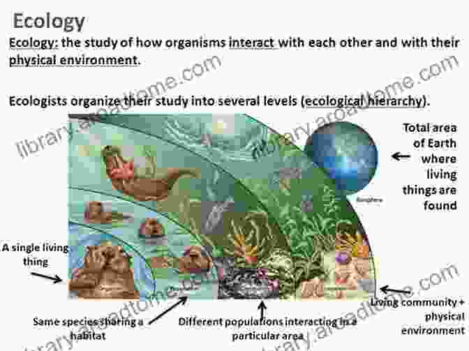 A Vibrant Illustration Of An Ecosystem, Showcasing The Diverse Interactions Between Organisms And Their Environment. Heritability Of Intelligence: A Clarification From A Biological Point Of View (essentials)