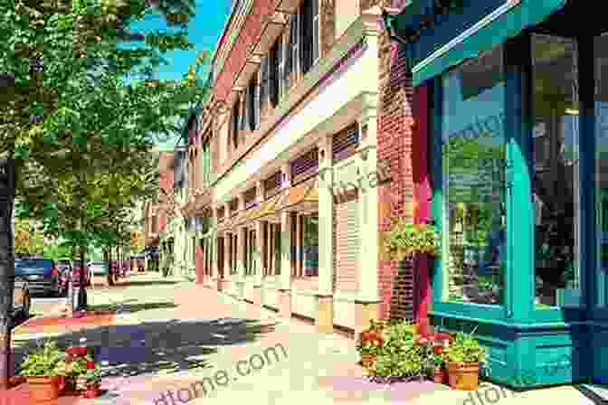 A View Of Downtown Seneca Falls Seneca Falls (Images Of America)