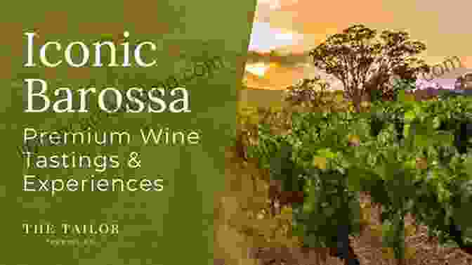 A Wine Tasting Experience In The Barossa Valley Tahlie Tours Australia