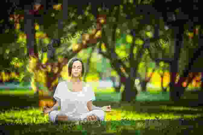 A Woman Sitting In A Forest, Surrounded By Trees And Sunlight, Her Eyes Closed In Meditation. Deeper Into The Mystery (The Secret Land 3)