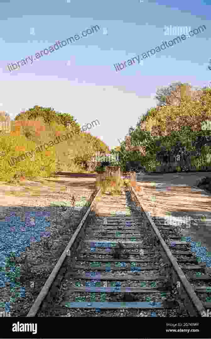 Abandoned Railway Track Disappearing Into The Distance Britains Declining Secondary Railways Through The 1960s: The Blake Paterson Collection