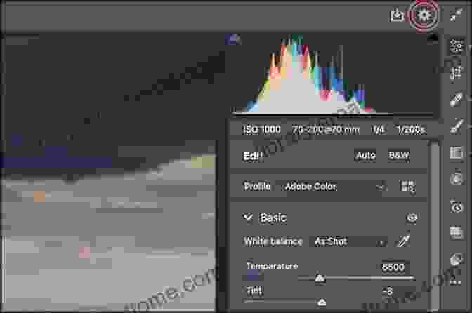 Adjusting Camera Settings In Adobe Camera RAW Adobe Photoshop Tricks And Tips: Over 456 Secrets Hacks