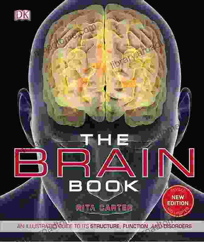 An Activity Of Mind And Brain Book Cover Remembering: An Activity Of Mind And Brain (Oxford Psychology 34)