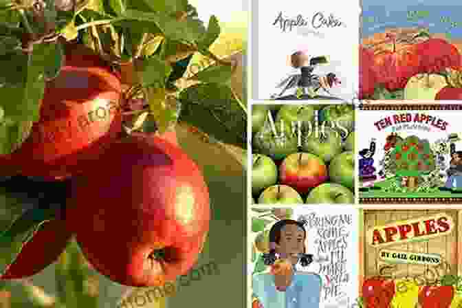 An Apple Day Book Cover An Apple A Day: The Myths Misconceptions And Truths About The Foods We Eat