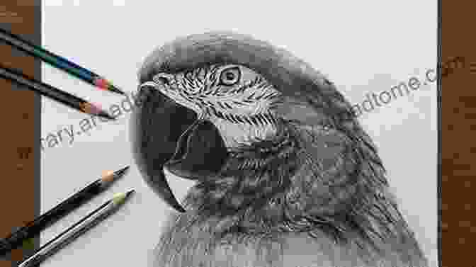 An Image Of A Person Drawing A Realistic Looking Doodle Of A Bird With Detailed Shading And Textures. Learn To Doodle: How To Create Doodle Masterpieces With No Experience Necessary