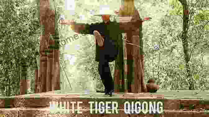 Benefits Of Tiger Qigong Chinese Shamanic Tiger Qigong: Embrace The Power Of Emptiness