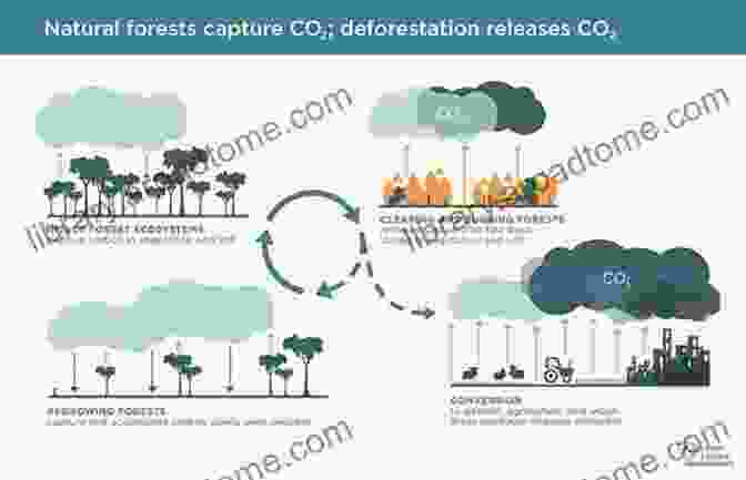 Biofuels Can Have Negative Environmental Impacts, Including Deforestation And Greenhouse Gas Emissions. 25 Myths That Are Destroying The Environment: What Many Environmentalists Believe And Why They Are Wrong