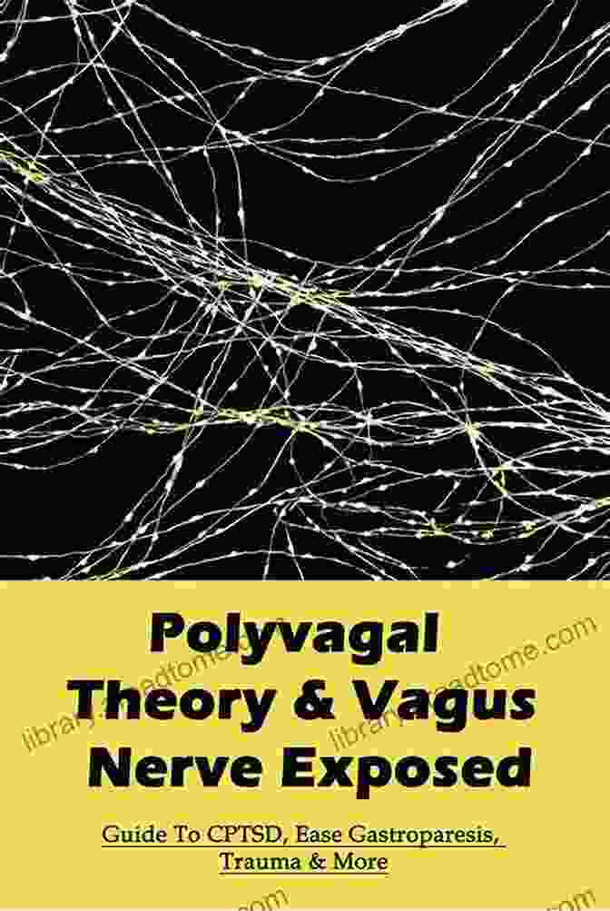 Book Cover Of 'Guide To CPTSD, Ease Gastroparesis, Trauma, And More' Polyvagal Theory Vagus Nerve Exposed: Guide To CPTSD Ease Gastroparesis Trauma More