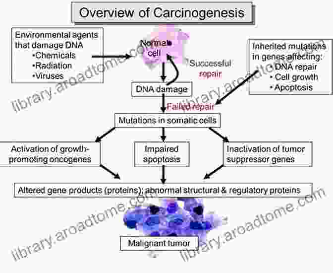 Cancer Gene Evolution Diagram The Cancer Gene: Cancer Inheritance Evolution