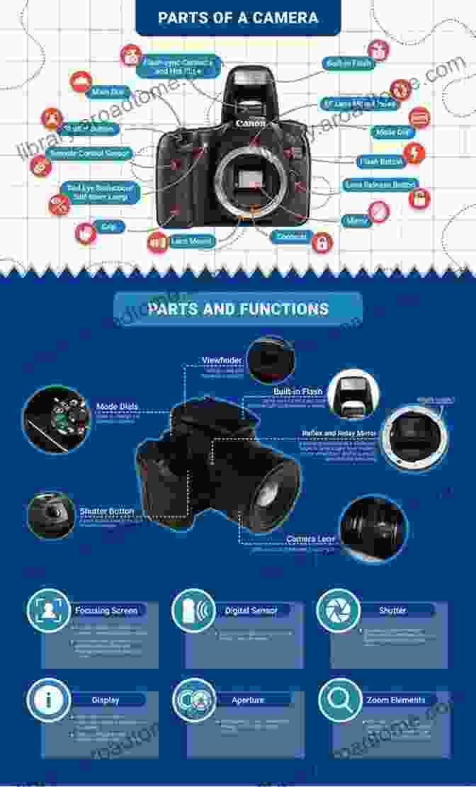 Diagram Of A Camera With Labeled Components Everything You Always Wanted To Know About Photography But Were Afraid To Ask