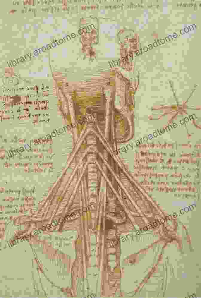 Leonardo Da Vinci's Anatomical Drawing The Notebooks Of Leonardo Da Vinci Vol 1 (Dover Fine Art History Of Art)