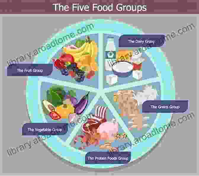 Meal Planning Chart With A Variety Of Food Groups And Meal Ideas Blood Type Diet: The Ultimate Guide To Meal Plan Recipes For Beginners