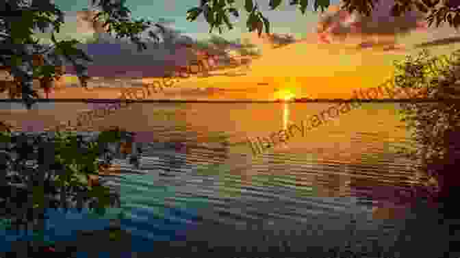 Peaceful Reflection Of The Sunset On The Water's Surface Romantic BACK BAY SUNSET PHOTOGRAPHY Upper Newport Bay Ecological Reserve Newport Beach California USA Grace Divine (NEWPORT BEACH CALIFORNIA PHOTOGRAPHY)