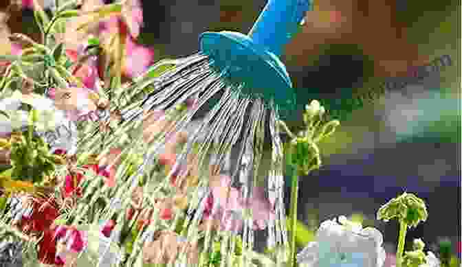 Quench The Thirst Of Your Garden With Efficient Water Management Organic Gardening: Your Guide To Growing Healthy Organic Produce