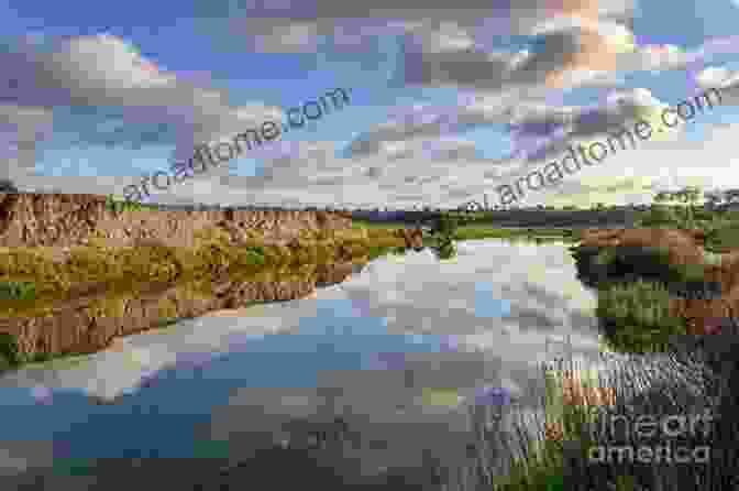 Romantic Sunset Sky Over Upper Newport Bay Romantic BACK BAY SUNSET PHOTOGRAPHY Upper Newport Bay Ecological Reserve Newport Beach California USA Grace Divine (NEWPORT BEACH CALIFORNIA PHOTOGRAPHY)