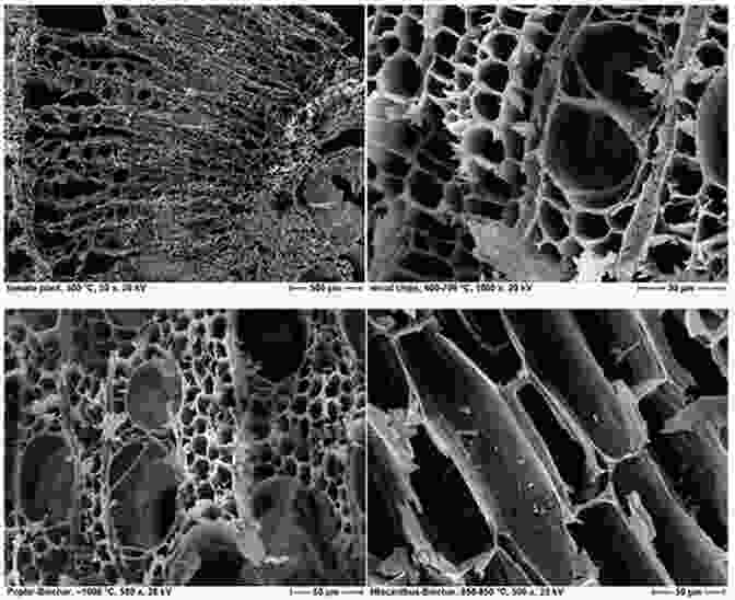 Scanning Electron Microscopy (SEM) Image Of Biochar Biochar: A Guide To Analytical Methods