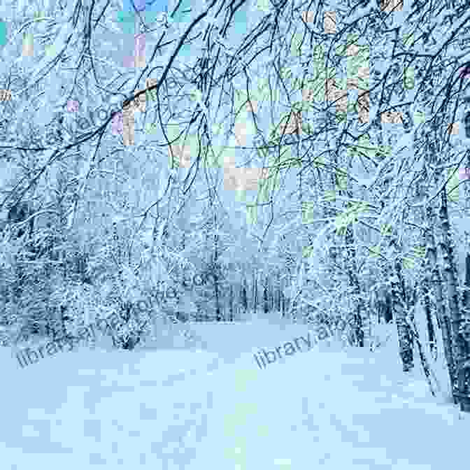 Snow Covered Landscape Of A Winter Forest A Wilder Life: A Season By Season Guide To Getting In Touch With Nature