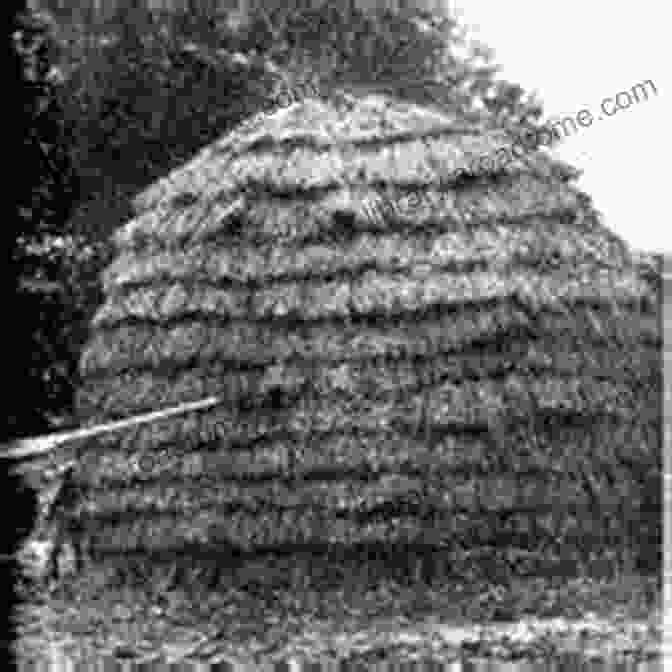Vintage Photograph Of Traditional Shinnecock Wigwams Along The Shores Of Shinnecock Bay, Circa 1900s Shinnecock Indian Nation (Images Of America)
