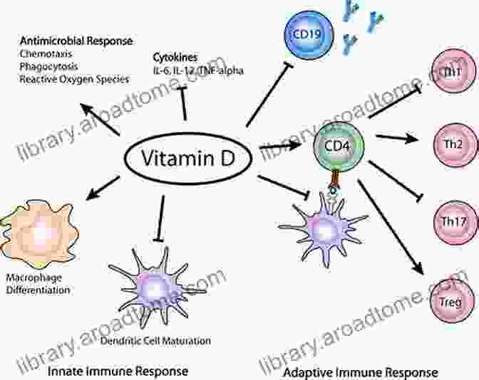 Vitamin D3 Helps In Modulating Immune Cell Activity Vitamin D3: Benefits Deficiency Sources And Dosage