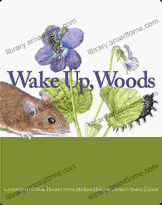 Wake Up Woods Book Cover Wake Up Woods