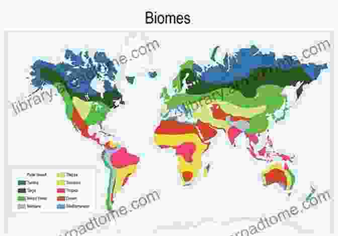 World Map Showing The Different Ocean Biomes Life In An Ocean (Living In A Biome)