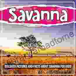 Savanna: Discover Pictures and Facts About Savanna For Kids