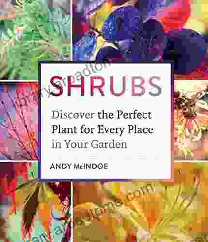 Shrubs: Discover The Perfect Plant For Every Place In Your Garden