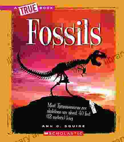 Fossils (A True Book: Earth Science) (A True (Relaunch))