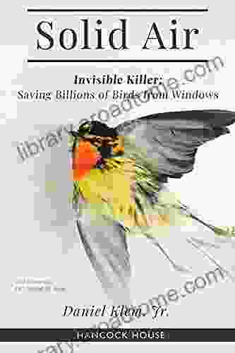 Solid Air: Invisible Killer Saving Billions of Birds from Windows