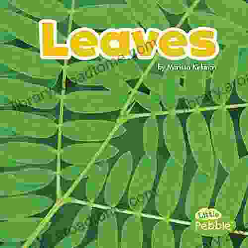 Leaves (Plant Parts)