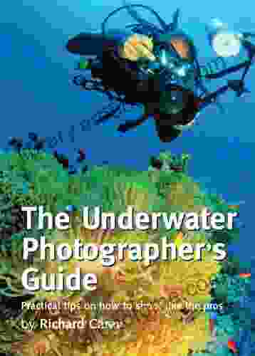 The Underwater Photographer S Guide: Practical Tips On How To Shoot Like The Pros