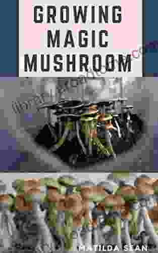 GROWING MAGIC MUSHROOM: Step By Steps Guide On How To Decides Select And Grow Mushroom On Your Own