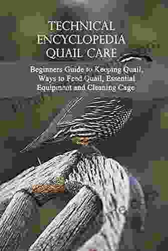 Technical Encyclopedia Quail Care: Beginners Guide To Keeping Quail Ways To Feed Quail Essential Equipment And Cleaning Cage