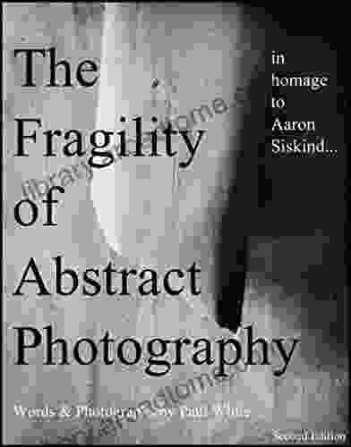 The Fragility of Abstract Photography (in homage to Aaron Siskind) 2nd Edition: Updated 2nd edition