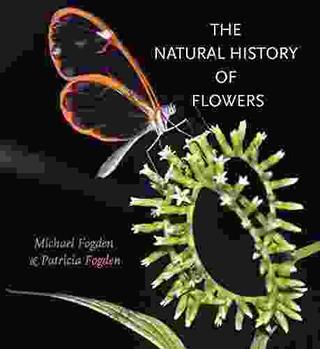 The Natural History Of Flowers (Gideon Lincecum Nature And Environment Series)