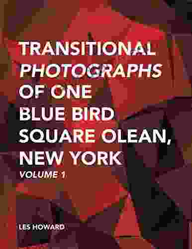 Transitional Photographs Of One Blue Bird Square Olean New York: Volume 1