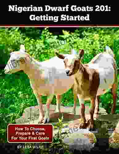 Nigerian Dwarf Goats 201: Getting Started: How To Choose Prepare Care For Your First Goats