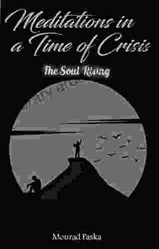 Meditations In A Time Of Crisis: The Soul Rising