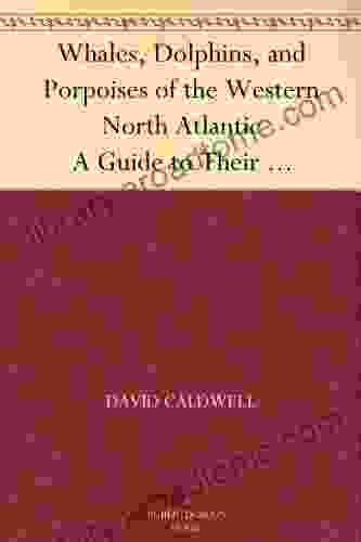 Whales Dolphins And Porpoises Of The Western North Atlantic A Guide To Their Identification